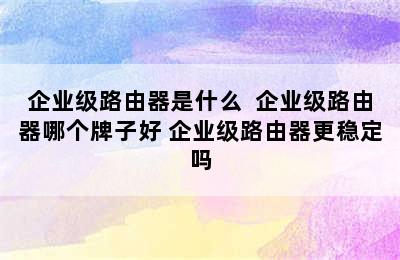 企业级路由器是什么  企业级路由器哪个牌子好 企业级路由器更稳定吗